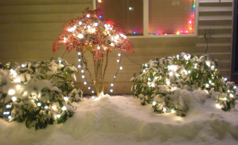 Reductress » Decorating Hacks That Involve Keeping the Lights Up YearRound