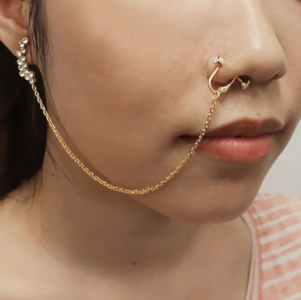 One of Those Nose-Ring-toEar-Cuff Things