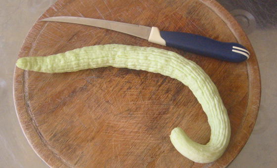 1-Armenian cucumber