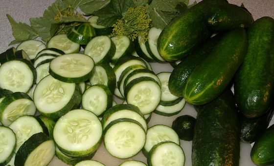2-Persian cucumber