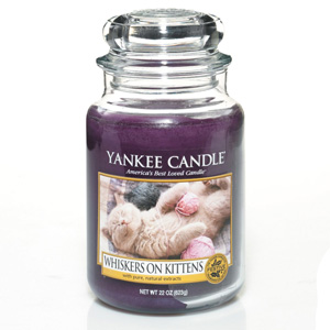 Whiskers on Kittens yankee candle