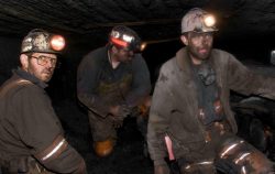 coal miner - reductress
