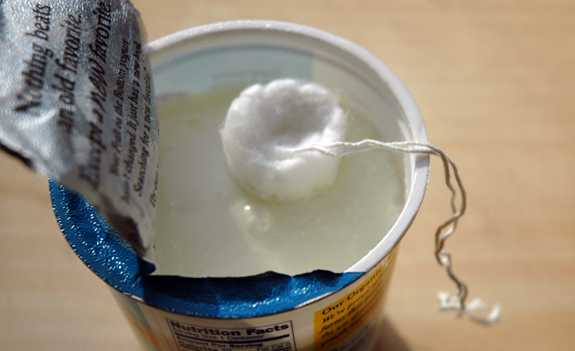 will yogurt help my dogs yeast infection