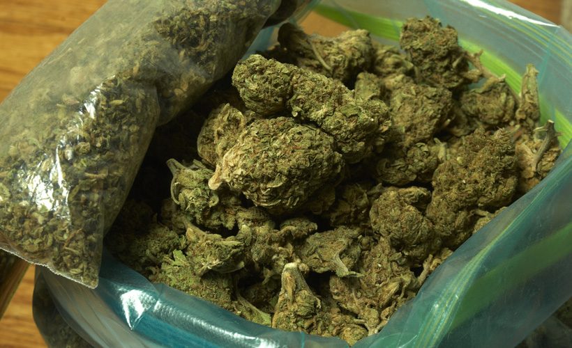 Reductress » How to Make Weed Butter With Just Stems, Please Tell Us, Our  Guy Isn't Picking Up