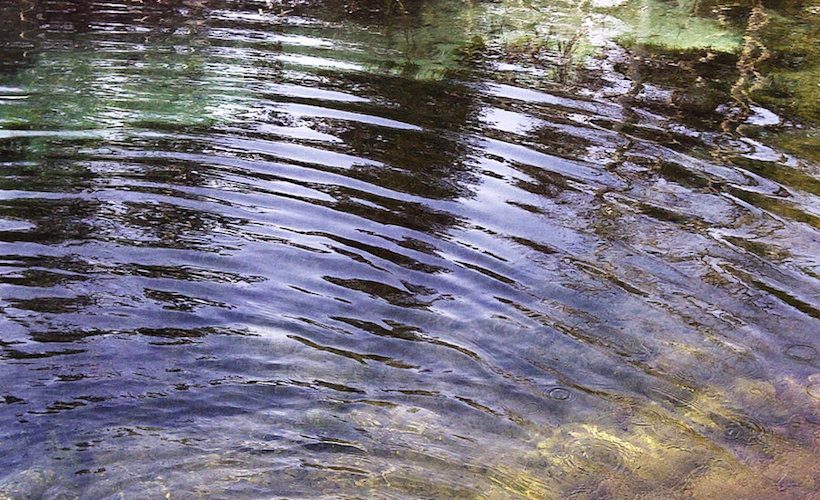 Reductress » Trend Alert: Stagnant Pond Waves!