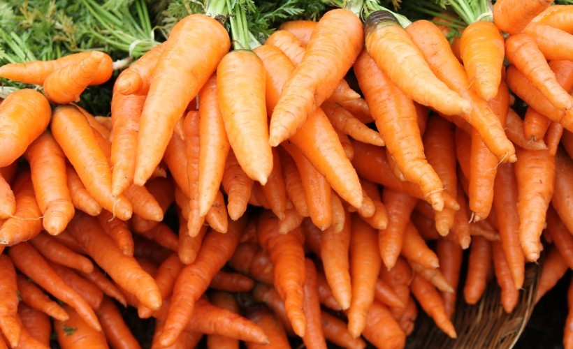 Reductress » Meet the Carrot Recipe That’ll Make You Say Goodbye to ...