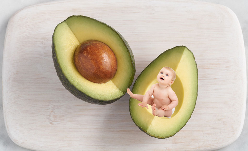 Reductress » How to Have Your Baby Inside An Avocado