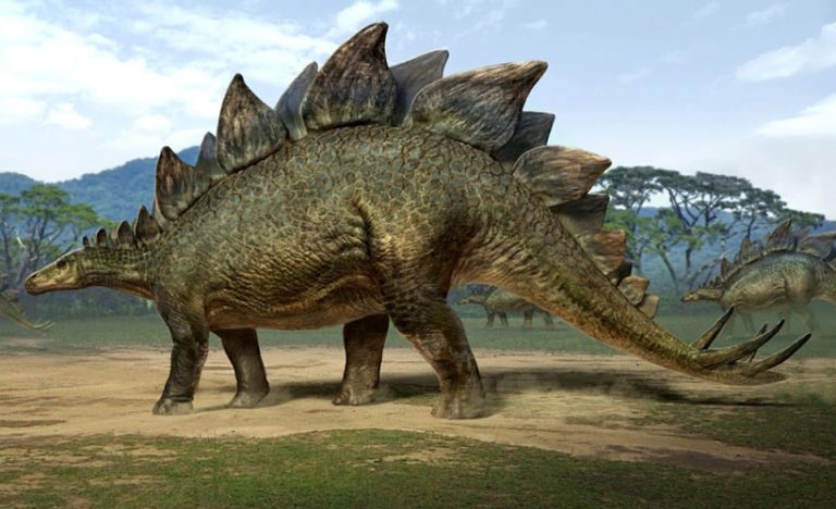 Reductress » Wow! This Stegosaurus Won’t Shut Up About Her Plant-Based Diet