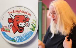 laughing cow cheese