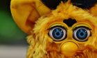 Yellow furby with blue eyes image in Animals